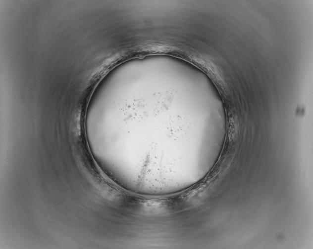 X0000090710358200708101510