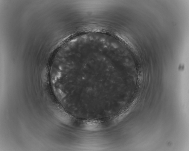 X0000090710359200708101510