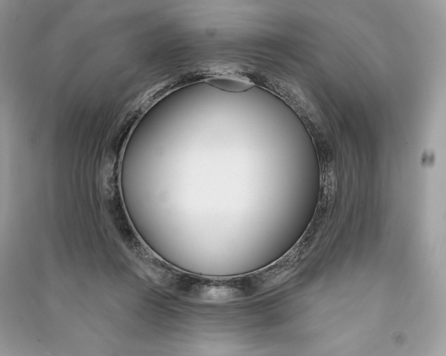 X0000090710360200708101510