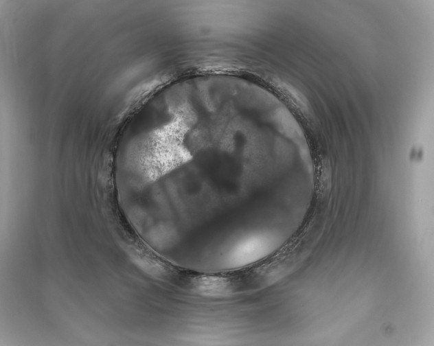 X0000090710361200708101510