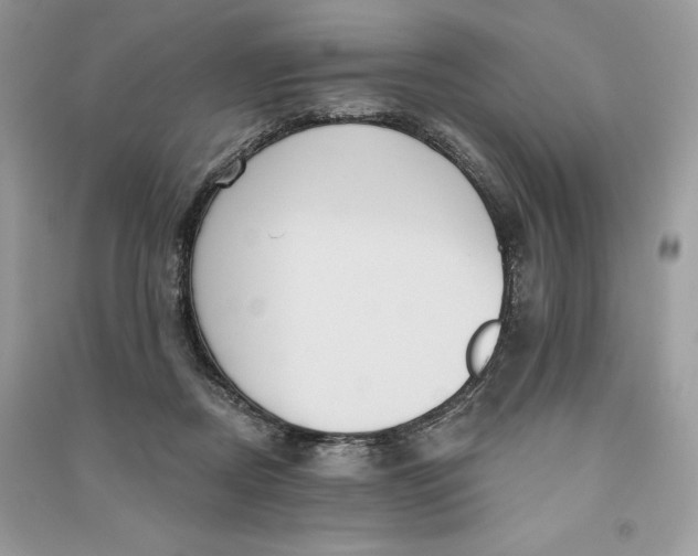 X0000090710362200708101510