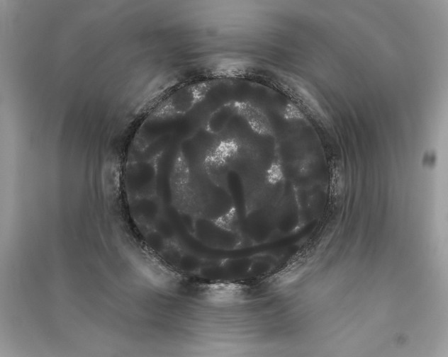 X0000090710363200708101511