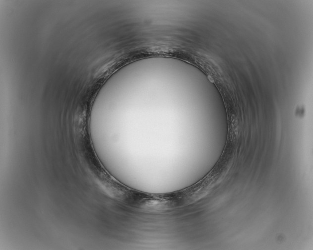 X0000090710364200708101511