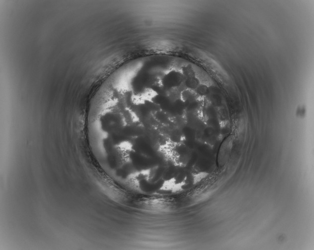 X0000090710365200708101511