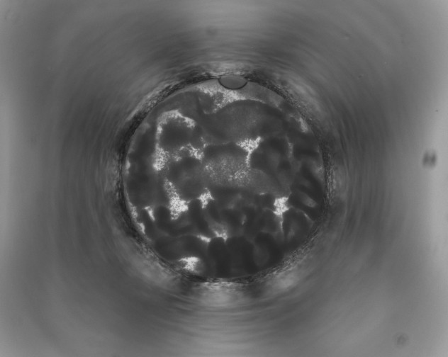 X0000090710367200708101511