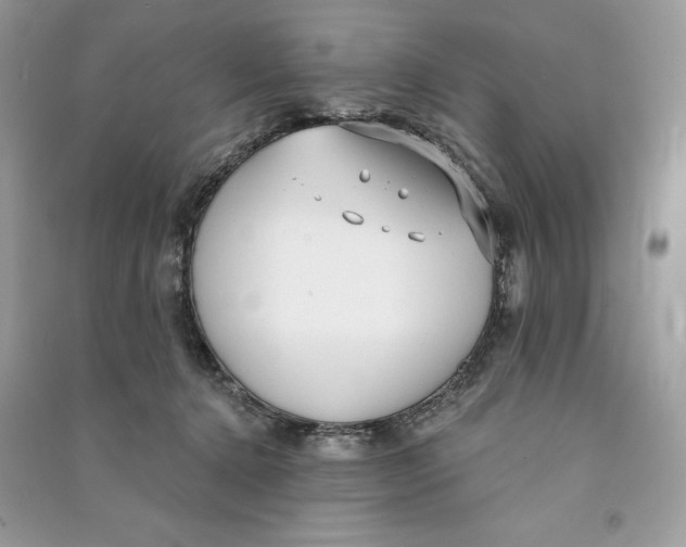 X0000090710368200708101511