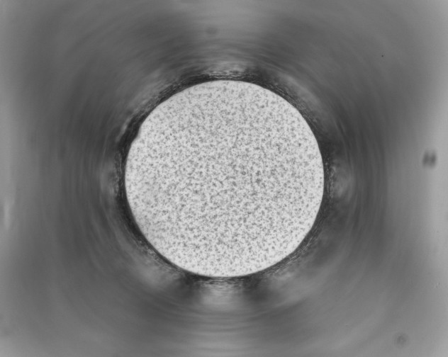 X0000090710370200708101511