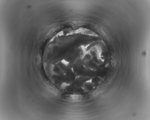 X0000090710371200708101511