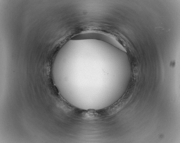 X0000090710372200708101511