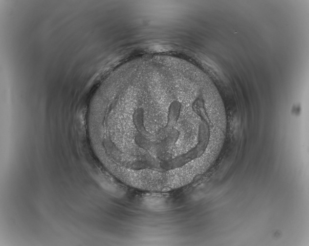 X0000090710373200708101511