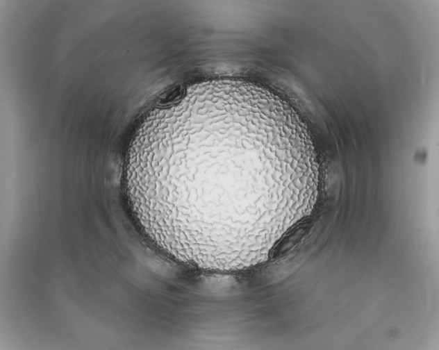 X0000090710374200708101511