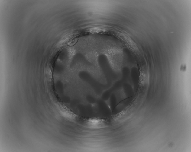 X0000090710375200708101511