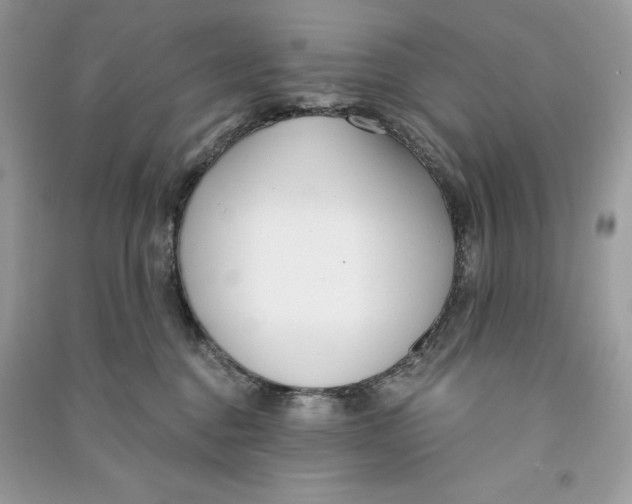 X0000090710376200708101511