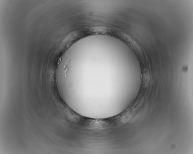 X0000090710379200708101511