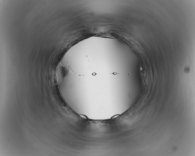 X0000090710380200708101511