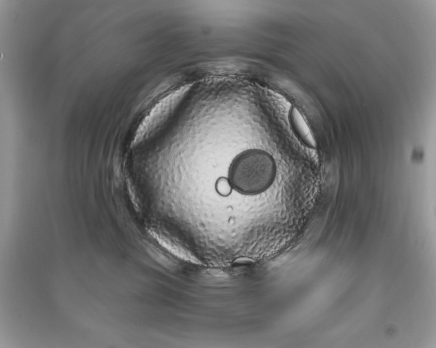 X0000090710381200708101511