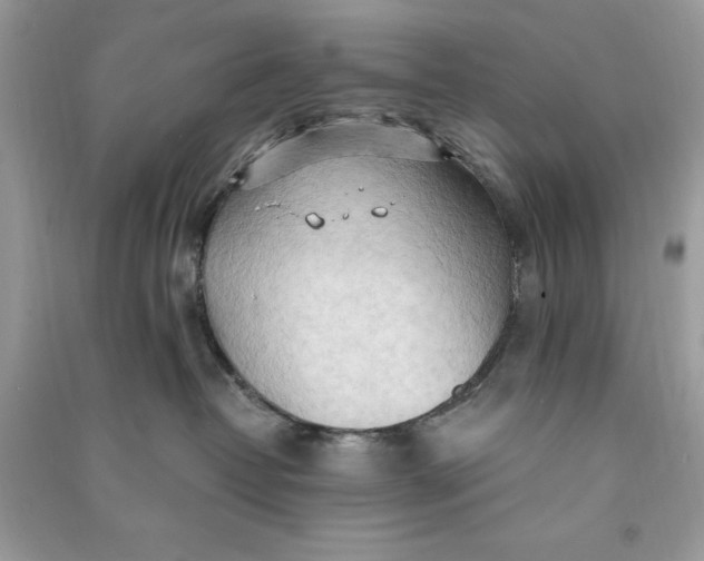 X0000090710382200708101511