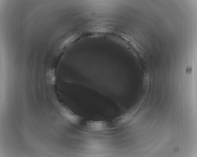 X0000090710383200708101511