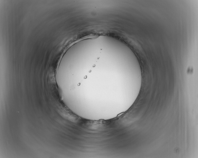 X0000090710384200708101511