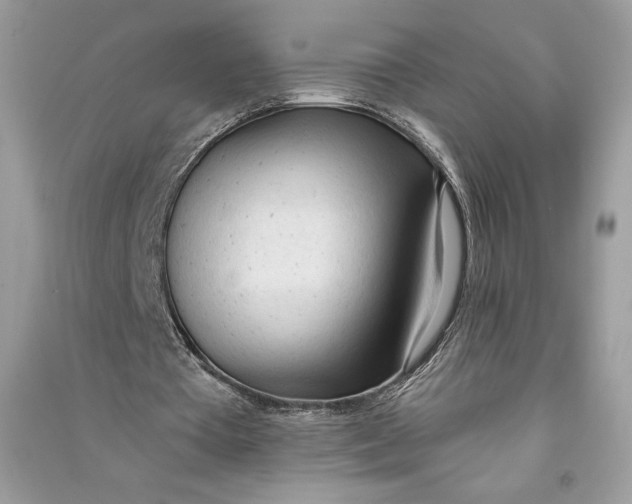 X0000090710385200708101510