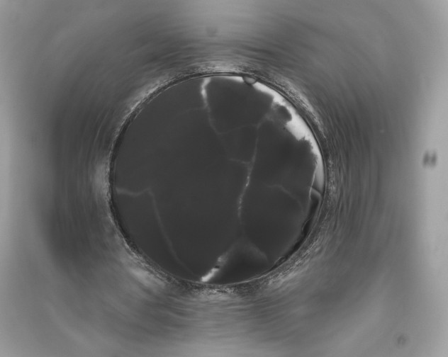 X0000090710386200708101510