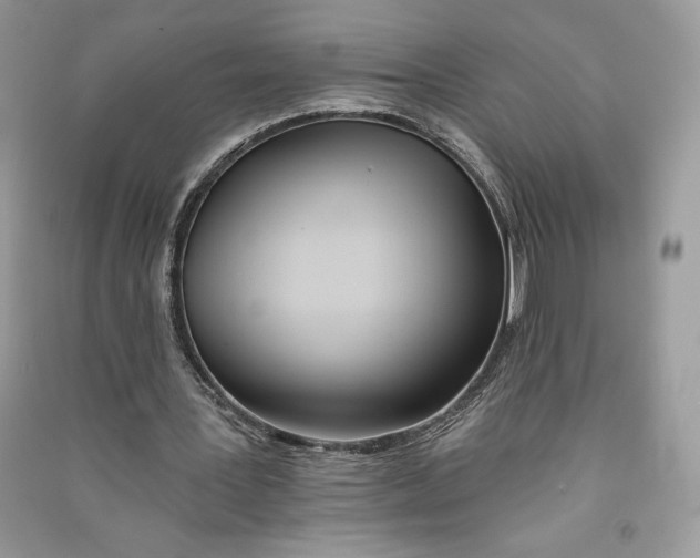 X0000090710387200708101510