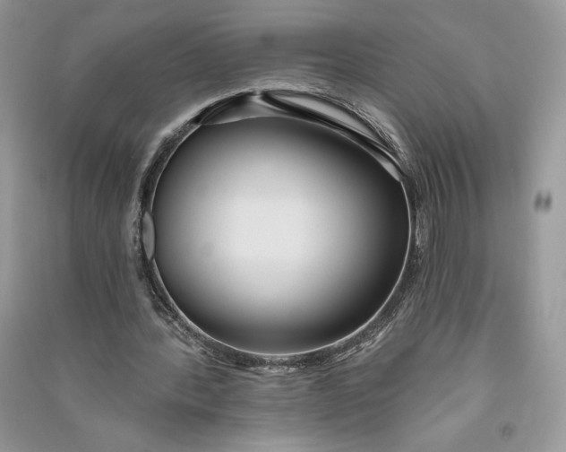 X0000090710388200708101510