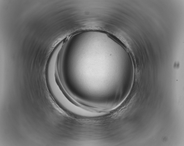 X0000090710389200708101510