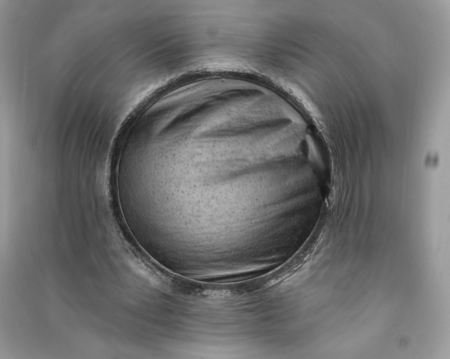 X0000090710391200708101510