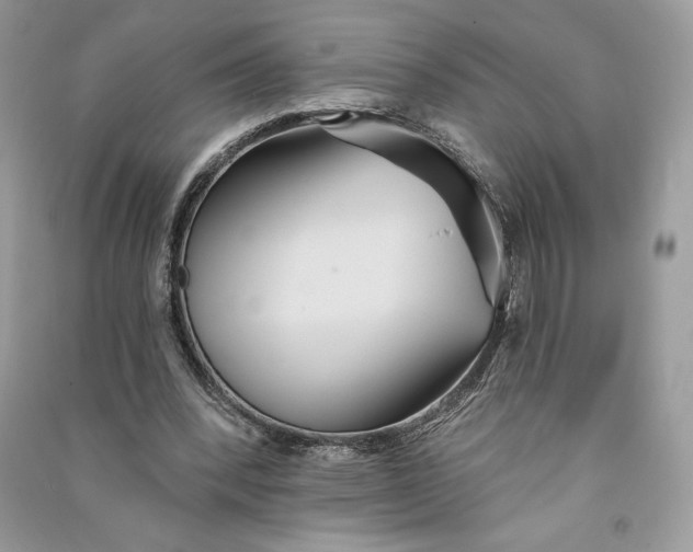 X0000090710392200708101510