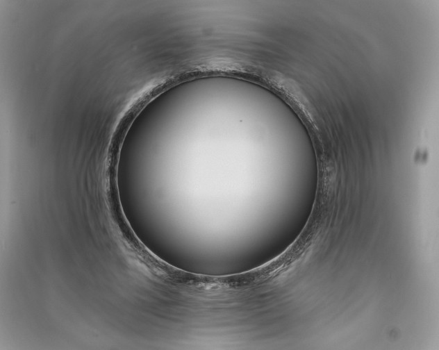 X0000090710395200708101510