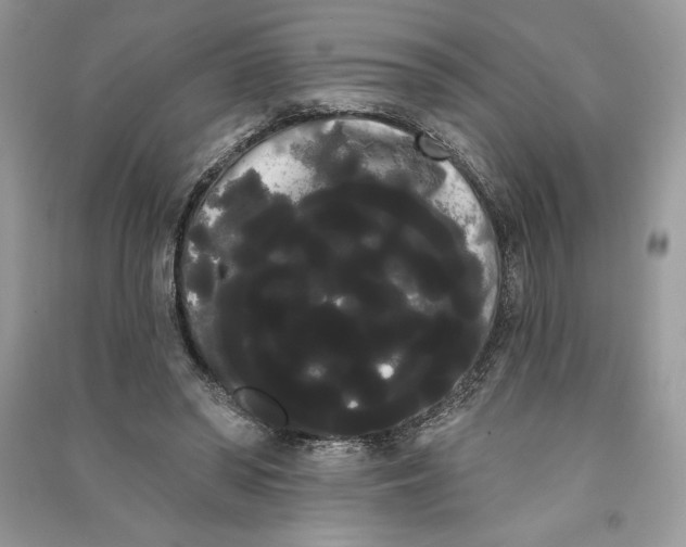 X0000090710398200708101510