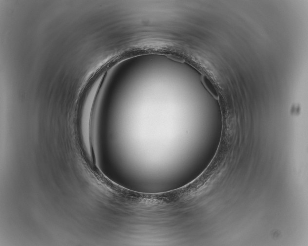 X0000090710399200708101510