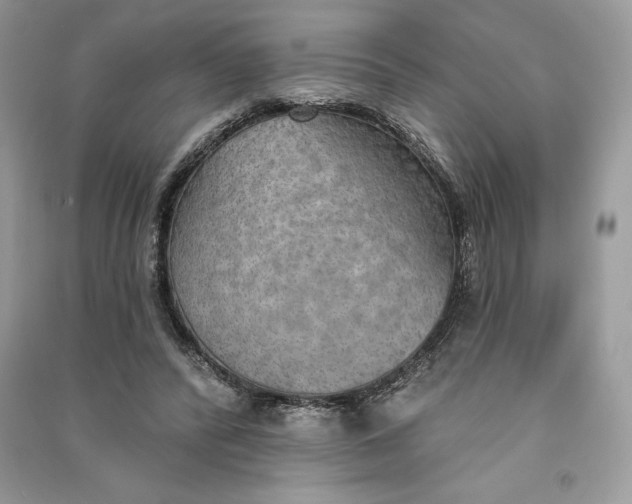 X0000090710400200708101510