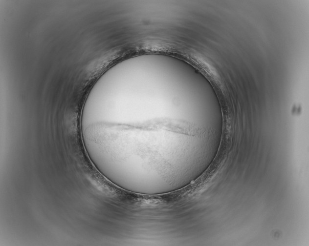 X0000090710401200708101510