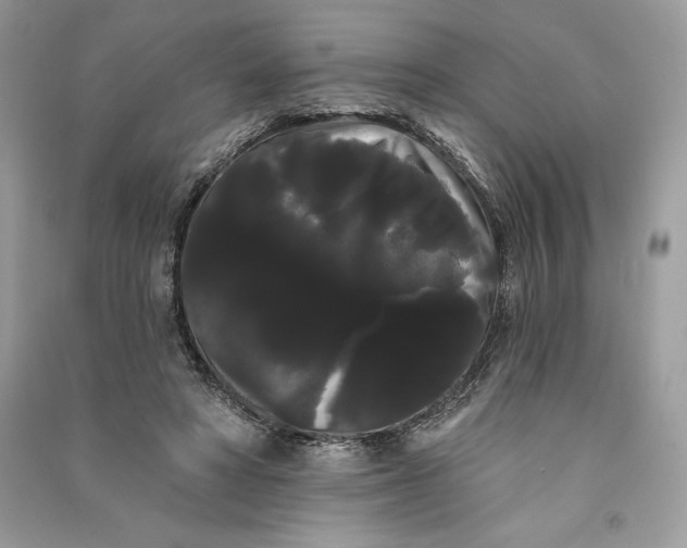 X0000090710402200708101510