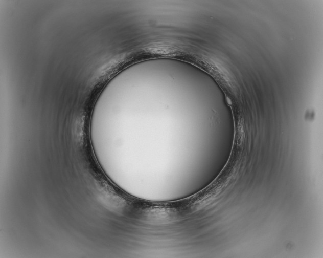 X0000090710404200708101510