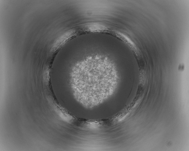 X0000090710405200708101510