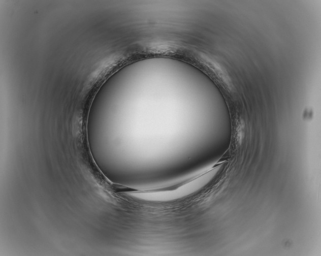 X0000090710407200708101510