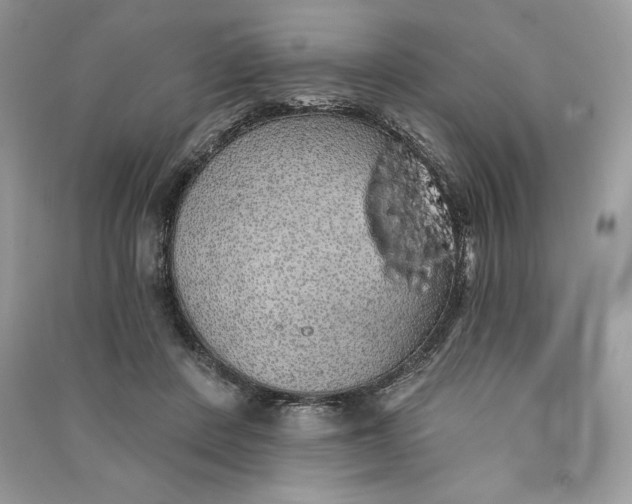 X0000090710408200708101510