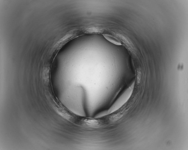 X0000090710409200708101510