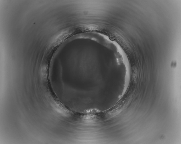 X0000090710410200708101510