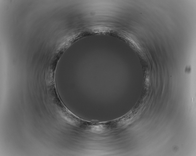 X0000090710411200708101510