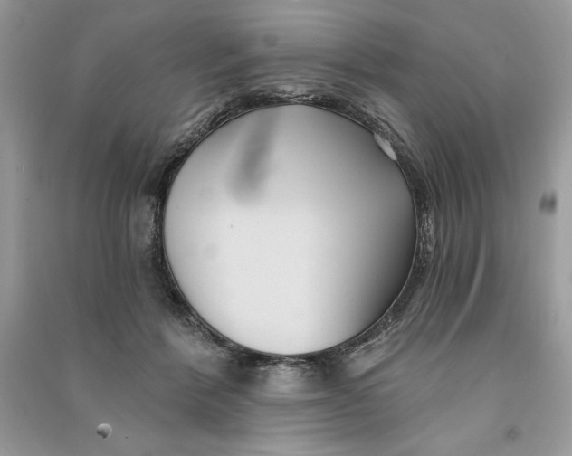 X0000090710412200708101510