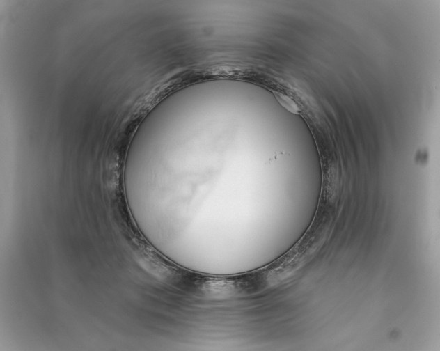 X0000090710413200708101510