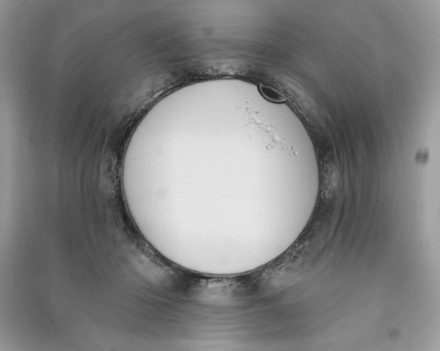 X0000090710414200708101510