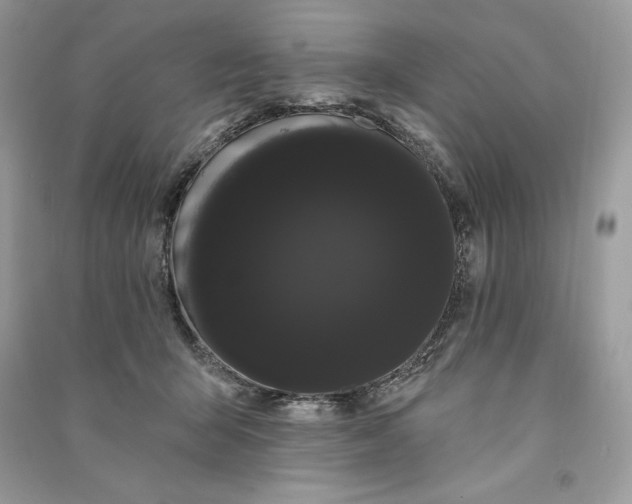 X0000090710415200708101510