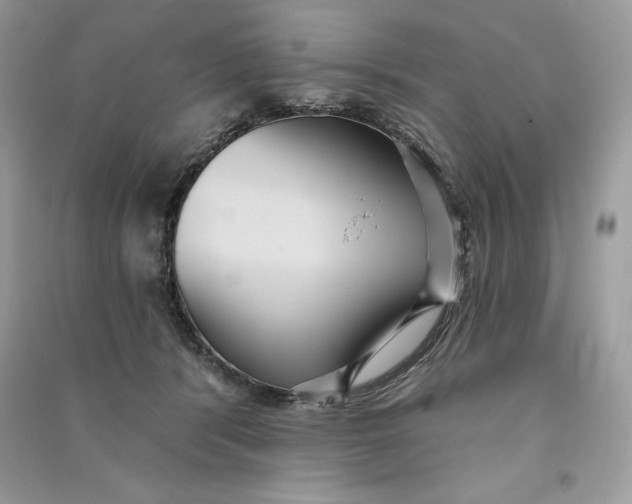 X0000090710416200708101510