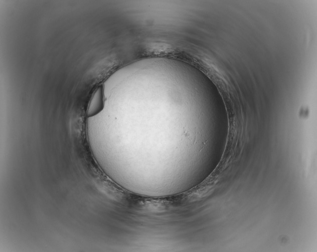 X0000090710417200708101510