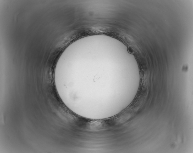 X0000090710418200708101510